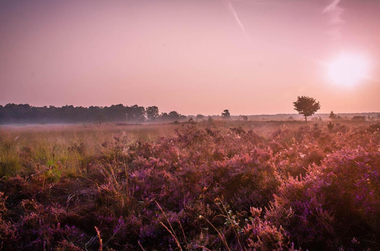 2-Persoons Hotellodge Voorthuizen Exteriér fotografie
